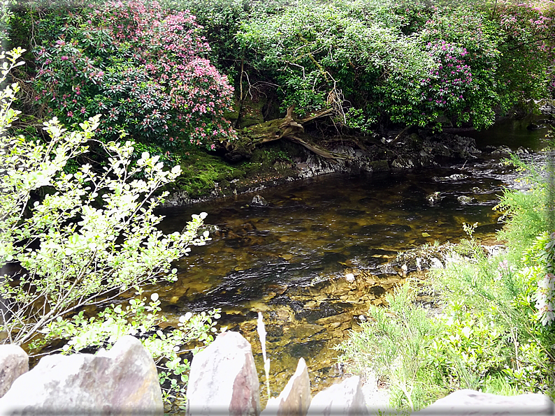 foto Parco di Killarney